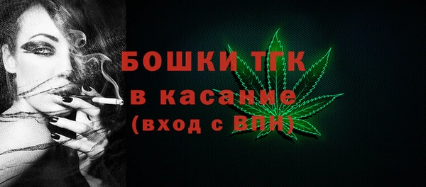 гашик Медвежьегорск